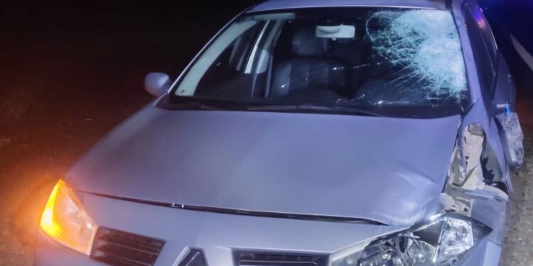 Un peatón murió tras ser embestido en la Autovía Punilla