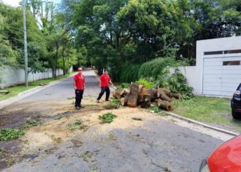 Defensa Civil recibió 950 llamados durante el fin de semana