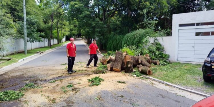 Defensa Civil recibió 950 llamados durante el fin de semana