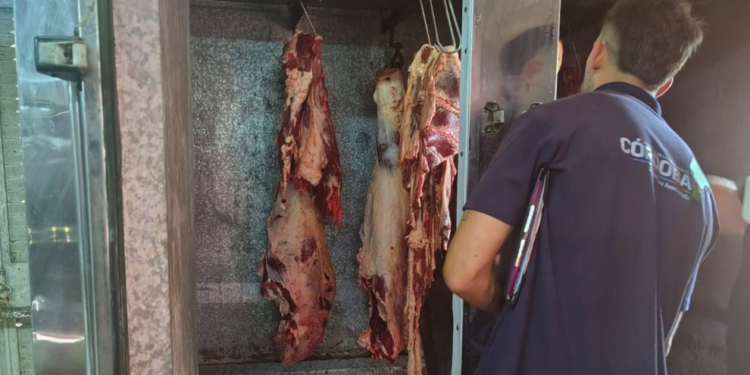 Decomisaron carne porcina por faenamiento ilegal en el departamento Unión