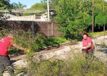 Defensa Civil asistió 95 emergencias tras la fuerte tormenta en Córdoba