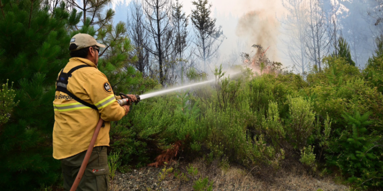 Alivio en Chubut: brigadistas lograron contener el fuego en Puerto Patriada