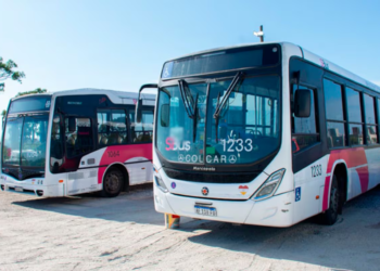 Amplían el recorrido de las líneas 31 y 14 para mejorar la conectividad en zona sur