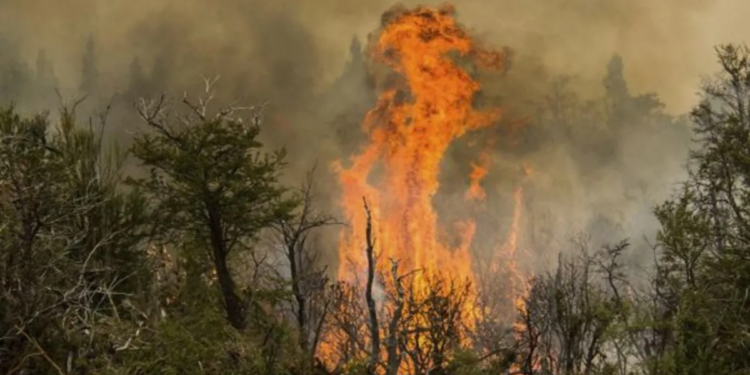 El viento y el calor reactivaron los incendios en Chubut