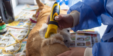 El Móvil Municipal de Castraciones recorrerá los CPC de la ciudad