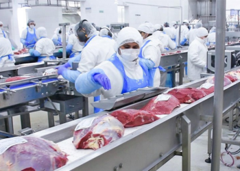 Córdoba concreta su primera exportación de carne a Portugal