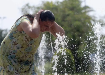 Alerta por ola de calor desde hoy hasta el domingo