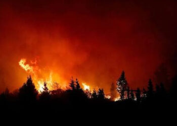 Tanto los restos del transporte como registros testimoniales quedaron bajo custodia de las autoridades para continuar con la investigación.