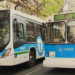 Córdoba mantendrá sin cambios las líneas A1, B1, C1 y C2 pese al nuevo esquema de empresas