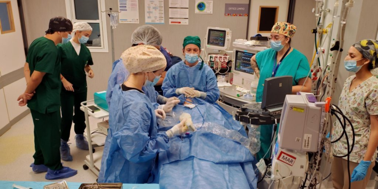 Realizaron la primera ablación por microondas de tiroides en el Hospital San Roque