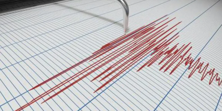 Sismo en Chile se sintió en Córdoba