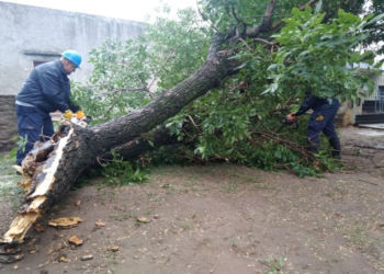 La Provincia brinda asistencia por el temporal en el sur y sudeste cordobés