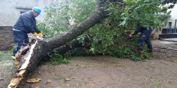 La Provincia brinda asistencia por el temporal en el sur y sudeste cordobés