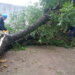 La Provincia brinda asistencia por el temporal en el sur y sudeste cordobés
