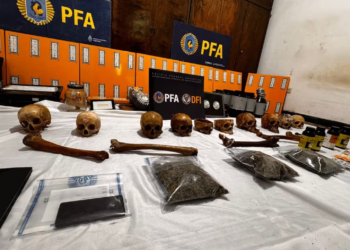 Hallaron cráneos humanos en un allanamiento por drogas en Córdoba