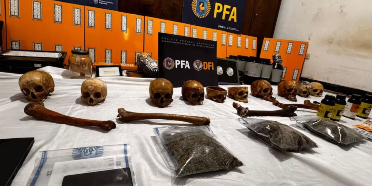 Hallaron cráneos humanos en un allanamiento por drogas en Córdoba