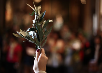 Domingo de Ramos: origen, significado y cómo se celebra en Córdoba