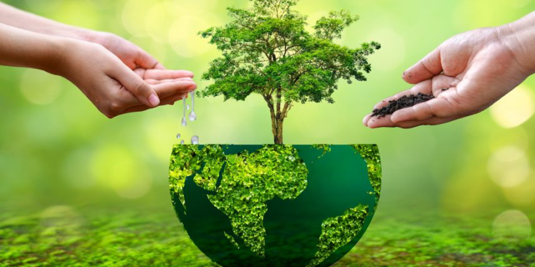 Día internacional de la Tierra: ¿por qué se conmemora hoy?