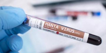 Hantavirus: Argentina envía insumos a países europeos