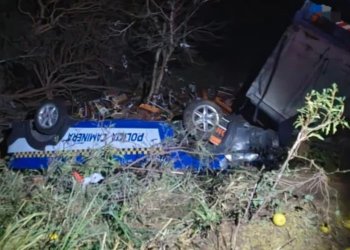 Siniestro fatal: un camión chocó contra un control policial en Ruta 9 norte y murió una mujer