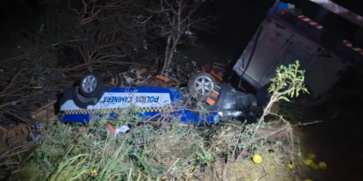 Siniestro fatal: un camión chocó contra un control policial en Ruta 9 norte y murió una mujer