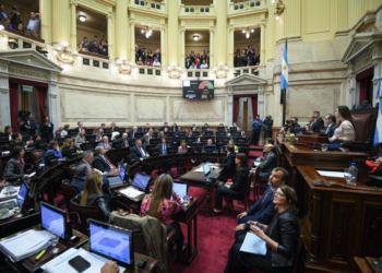 El Senado abre el debate de la reforma electoral con foco en la eliminación de las PASO