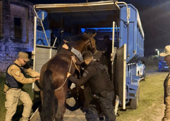 Detuvieron a tres hombres por caza ilegal