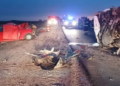 Choque fatal: dos muertos y 16 menores heridas en Córdoba
