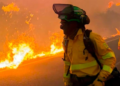 Incendio forestal en España: al menos 12 muertos y 23 personas desaparecidas