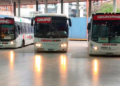 Transporte interurbano: un paro de choferes paraliza el servicio de FAM