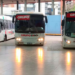 Transporte interurbano: un paro de choferes paraliza el servicio de FAM