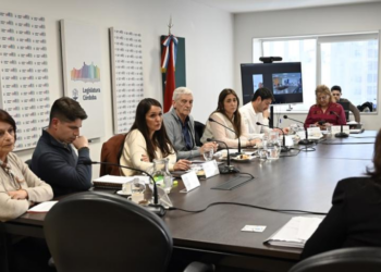 Comenzaron a tratar un proyecto para establecer la "Ley Fede" sobre autismo en Córdoba