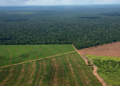 El Gobierno desistió de cambiar la ley de Tierras