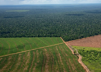 El Gobierno desistió de cambiar la ley de Tierras