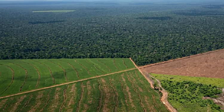El Gobierno desistió de cambiar la ley de Tierras