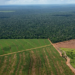 El Gobierno desistió de cambiar la ley de Tierras