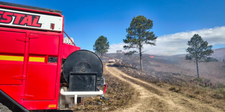 Amplio operativo para combatir un incendio forestal en Yacanto