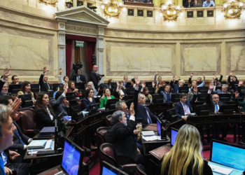 El Senado aprobó y giró a Diputados el proyecto de propiedad privada, pero debió ceder en la reforma del Fuego