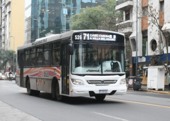 Desde este sábado rigen nuevos recorridos en las líneas del corredor 7