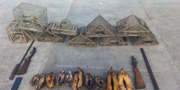 La Patrulla Rural secuestró armas, animales silvestres y perros utilizados para cazar