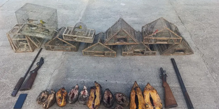 La Patrulla Rural secuestró armas, animales silvestres y perros utilizados para cazar