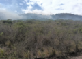 Incendio forestal en La Calera: bomberos y aviones hidrantes combaten el fuego