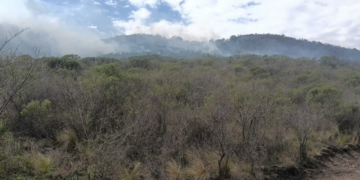 Incendio forestal en La Calera: bomberos y aviones hidrantes combaten el fuego