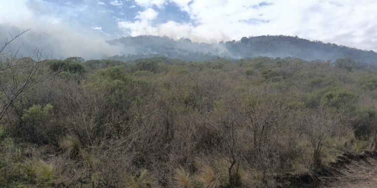 Incendio forestal en La Calera: bomberos y aviones hidrantes combaten el fuego