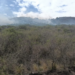 Incendio forestal en La Calera: bomberos y aviones hidrantes combaten el fuego