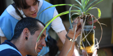 Continúa el primer monitoreo aédico de la temporada para prevenir el dengue
