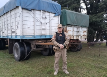 Tres detenidos por el robo de 70 mil kilos de cereales en el sudeste de Córdoba