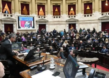 Diputados retoma el debate sobre la emergencia en discapacidad