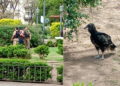 Apareció un visitante inesperado en la plaza Colón y tomó intervención la Patrulla Ambiental