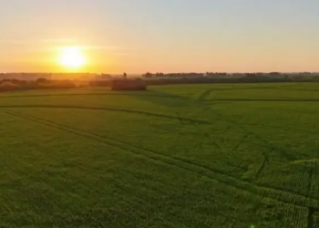 El Gobierno restituye la Ley de Tierras tras haberla derogado hace tres años
